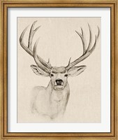 Natural Buck I Fine Art Print