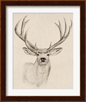 Natural Buck I Fine Art Print
