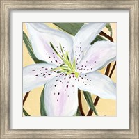 White Lily II Fine Art Print