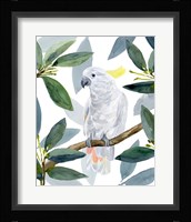 Cockatoo Perch II Framed Print