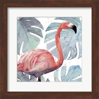 Flamingo Splash I Fine Art Print