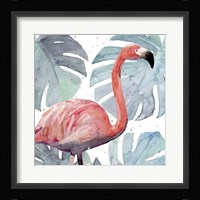 Flamingo Splash I Framed Print