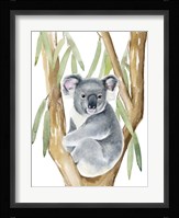 Woodland Koala I Fine Art Print
