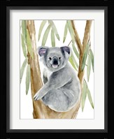 Woodland Koala II Fine Art Print