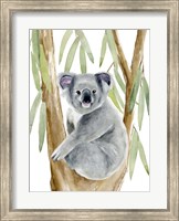 Woodland Koala II Fine Art Print