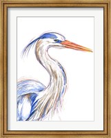 Heron's Glance I Fine Art Print