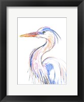 Heron's Glance II Fine Art Print