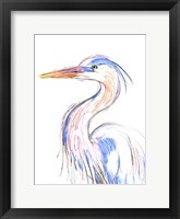 Heron's Glance II Fine Art Print