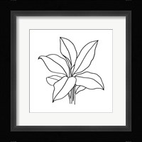 Foliage Contour II Framed Print