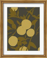 Golden Satsuma I Fine Art Print