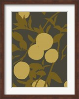 Golden Satsuma I Fine Art Print