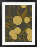 Golden Satsuma II Fine Art Print