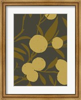 Golden Satsuma II Fine Art Print