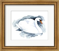 Silverlake Swan I Fine Art Print