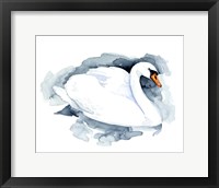 Silverlake Swan I Fine Art Print