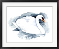 Silverlake Swan I Fine Art Print