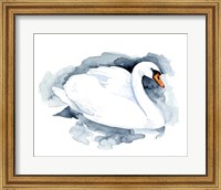 Silverlake Swan I Fine Art Print