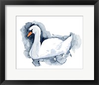 Silverlake Swan II Fine Art Print