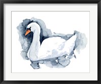 Silverlake Swan II Fine Art Print