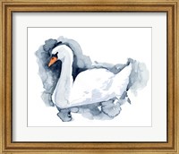 Silverlake Swan II Fine Art Print