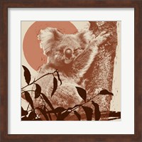 Pop Art Koala I Fine Art Print