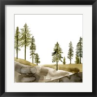 Pine Hill I Framed Print