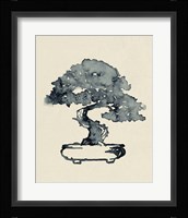 Indigo Bonsai I Framed Print
