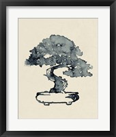 Indigo Bonsai I Framed Print
