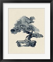Indigo Bonsai II Framed Print