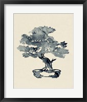 Indigo Bonsai III Framed Print