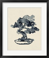 Indigo Bonsai IV Framed Print