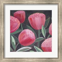 Blush Blossoms I Fine Art Print
