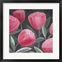 Blush Blossoms I Framed Print