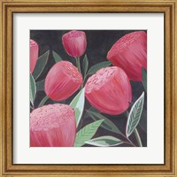 Blush Blossoms II Fine Art Print