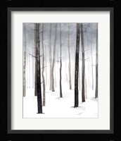 Hazy Winter Walk I Fine Art Print