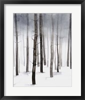 Hazy Winter Walk II Fine Art Print