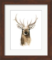 Watercolor Elk Portrait I Fine Art Print