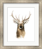 Watercolor Elk Portrait I Fine Art Print