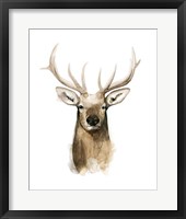 Watercolor Elk Portrait I Framed Print