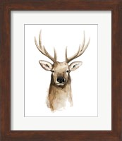 Watercolor Elk Portrait II Fine Art Print