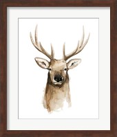 Watercolor Elk Portrait II Fine Art Print