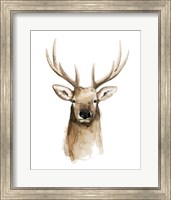 Watercolor Elk Portrait II Fine Art Print