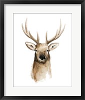 Watercolor Elk Portrait II Framed Print