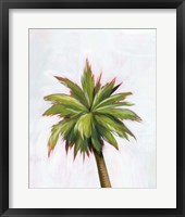 Palm Glow I Fine Art Print