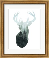 Forest Majesty I Fine Art Print