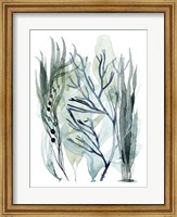 Sea Leaves III Fine Art Print