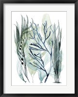 Sea Leaves III Fine Art Print