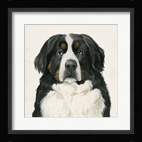 Best Bud I Framed Print