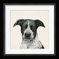 Best Bud IV Framed Print