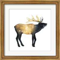 Elk Aglow II Fine Art Print